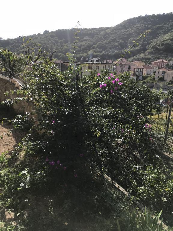 Appartamento Alessandra Finale Ligure Exterior foto
